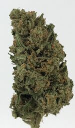 Jack Herer