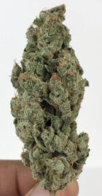 Exclusive LA Flame 3.5g