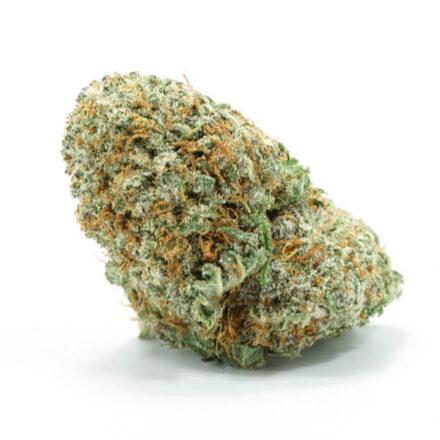 Orange Cookies