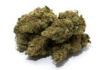 Exclusive Blueberry 3.5gram