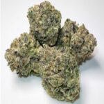 Lemon Sherbet