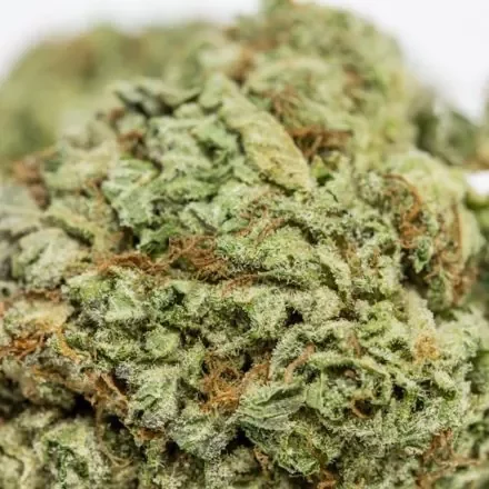 Creepy Kush
