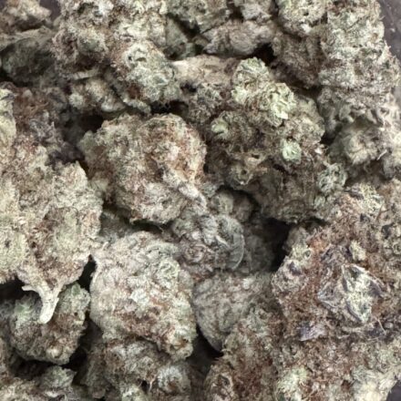 Exclusive Garlic N Grapes 3.5g