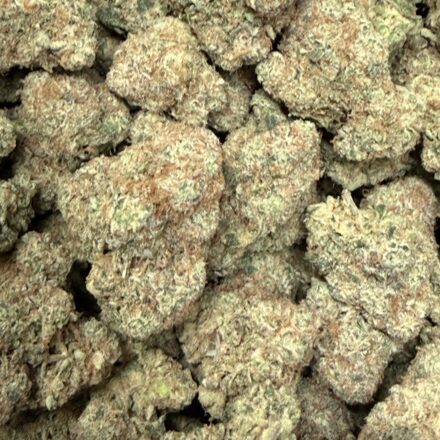 Exclusive Raspberry Taffy 3.5gram