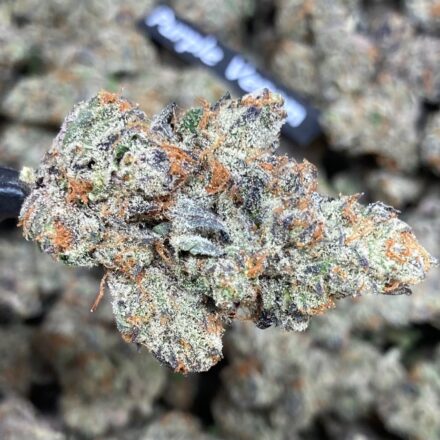 Purple Venom