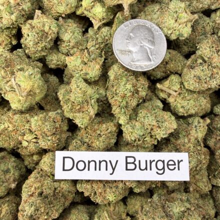 Donny Burger